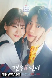 Head Over Heels (2025) Season 1 Korean Hindi Dubbed Drama Series